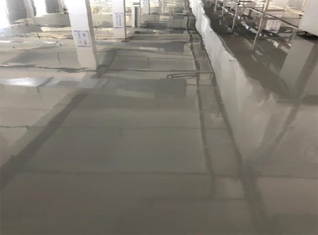 2025年第八期环氧地坪工程案例
