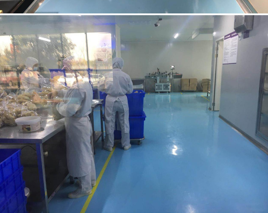 2025年第十期环氧地坪工程案例